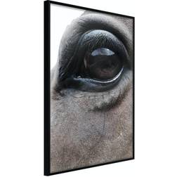 Arkiio Affisch Honest Eyes [Poster] 20x30 Poster